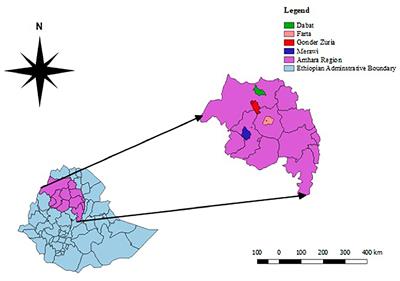 Serotyping and Seroprevalence of Mannheimia haemolytica, Pasteurella multocida, and Bibersteinia trehalosi and Assessment of Determinants of Ovine Pasteurellosis in West Amhara Sub-region, Ethiopia